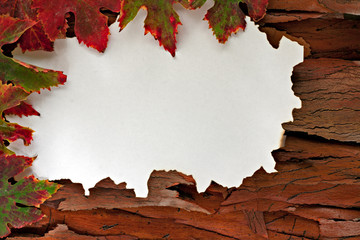 Autumn leaves arranged around white paper with burnt edges