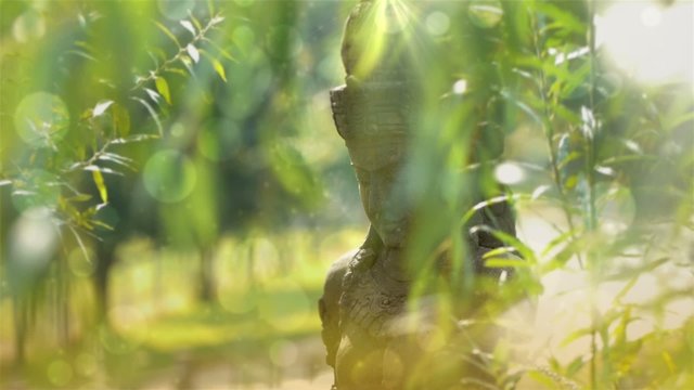 Statue in beautiful garden.