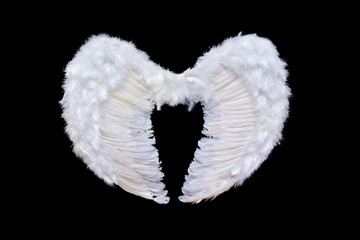 White angel wings