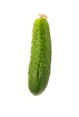cucumber