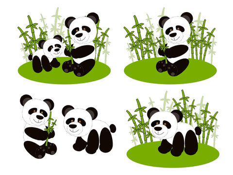 Panda cute set