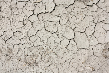monochrome background texture abstraction