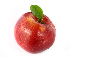 Fresh Red Apple
