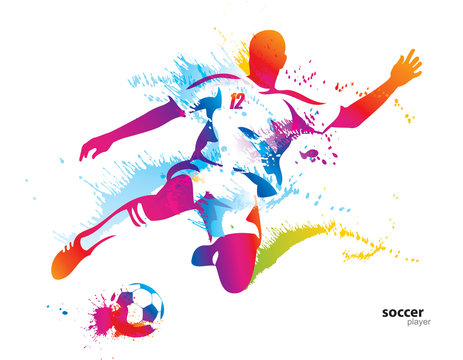 Soccer player kicks the ball. The colorful vector illustration