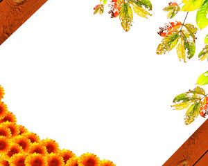 garden& flower isolated on white background