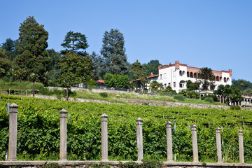 Fototapeta na wymiar Italian charming villa in vineyard