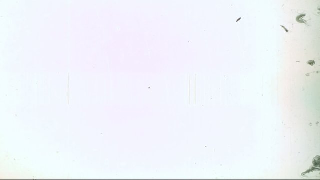 film grain 35mm