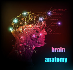 human brain background light design
