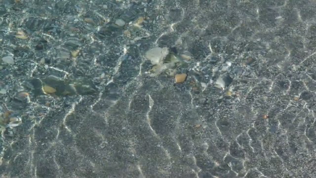 reflejos