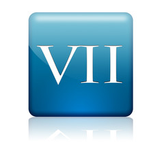 Boton cuadrado azul numero romano 7