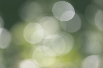 Obraz premium naturalne tło bokeh
