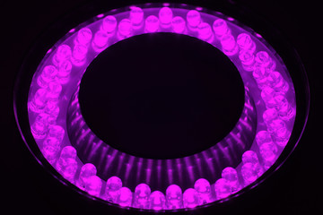 LEDs