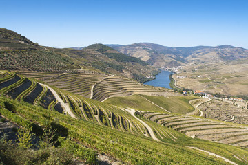 Fototapeta na wymiar Douro region