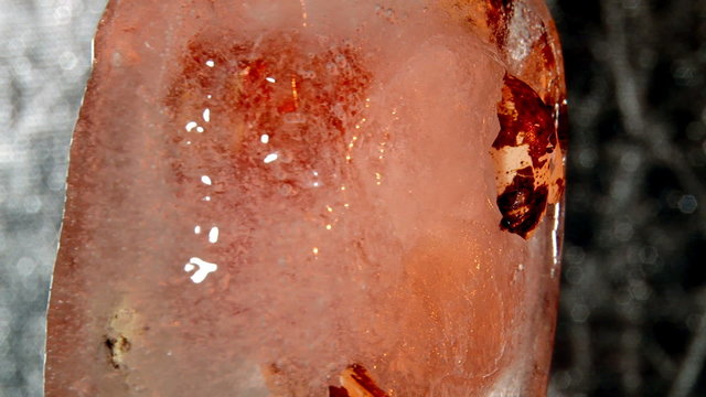 Alien embrion in ice cube, rotate