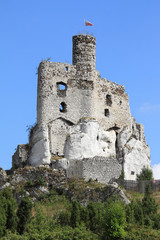 Fototapeta na wymiar Mirow castle