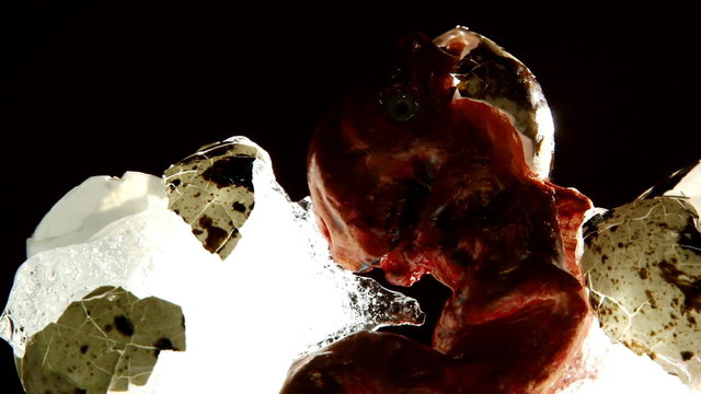 Alien spooky creature in eggs and ice