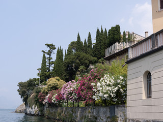 Fototapeta na wymiar Malcesine nad jeziorem Garda na północy Włoch