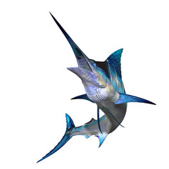 Marlin 01