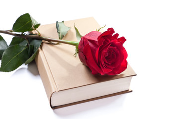 un libro y una flor