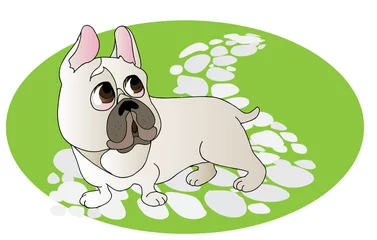 Selbstklebende Fototapeten Komische Zeichnung der französischen Bulldogge © Pona