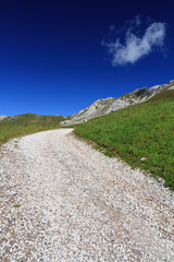 Fototapeta na wymiar Alpine road - sterrata alpina