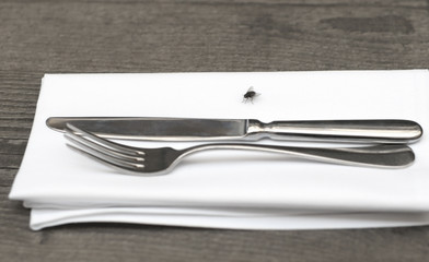 Big fly on the table and table-napkin, fork and knife