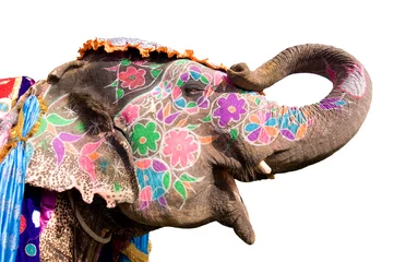 Papier Peint photo Éléphant Colorful hand painted elephant , Holi festival , Jaipur, Rajasthan, India 