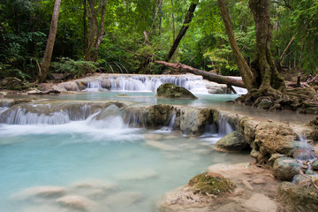 Stream in the Tropical Forest