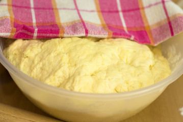 fresh yeast dough