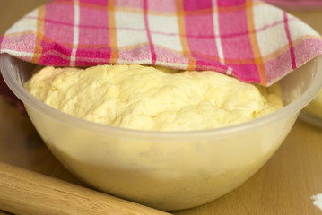 fresh yeast dough