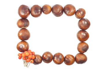 Autumn natural chestnut rectangular frame on white background