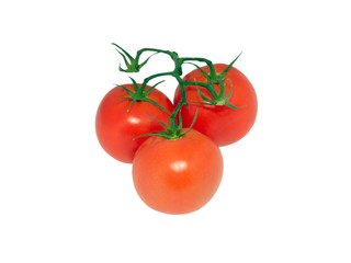 Tomatos 8