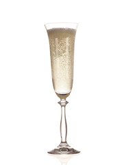 champagne