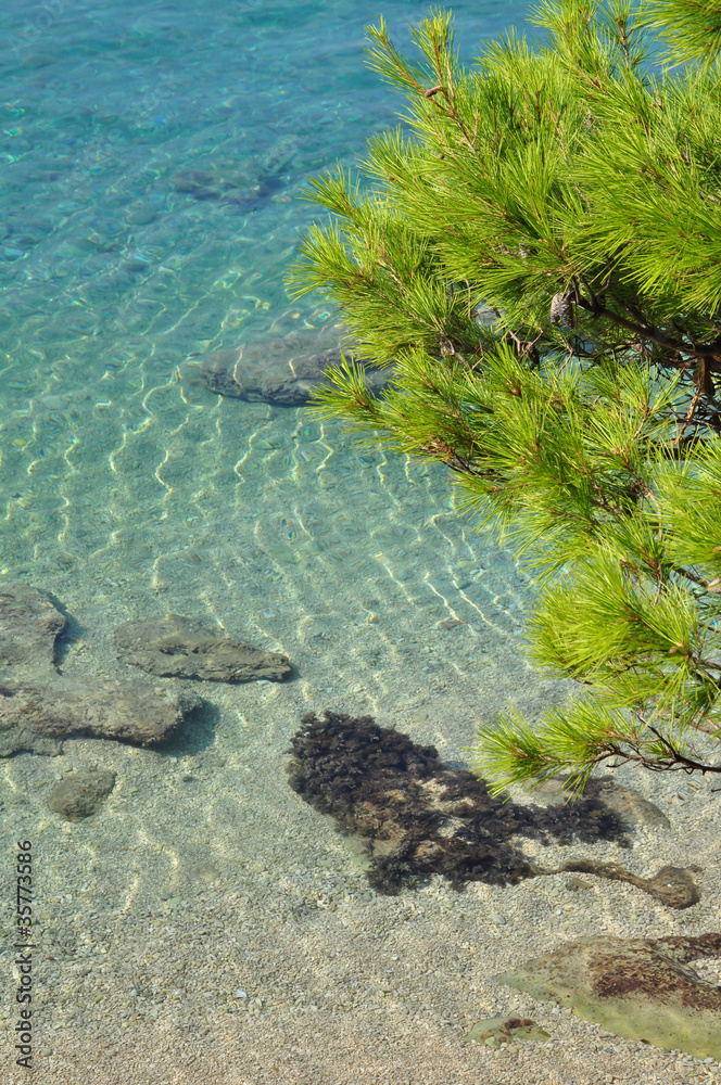 Wall mural crystal clear water beach