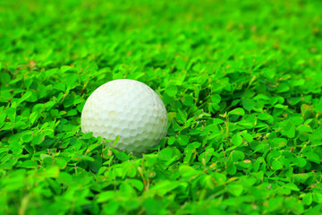 Golf ball on green