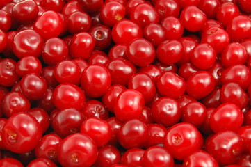 Cherries