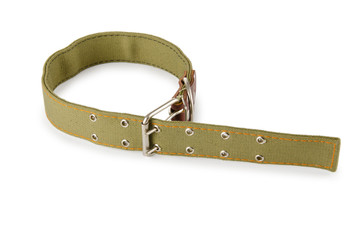 Dog collar isolated on the white background