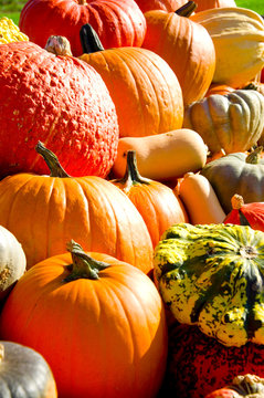 Fototapeta Kürbisse, Herbst