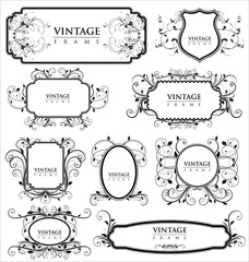 Empty vintage labels