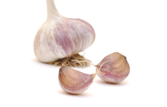 Garlic vegetable closeup