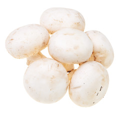 Fresh, tasty mushrooms isolated over white background.