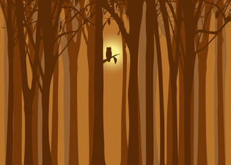 Halloween illustration autumn forest with owl