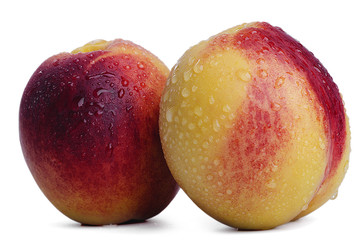 Fresh nectarines isolated on white