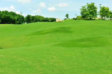 Fototapeta na wymiar golf course