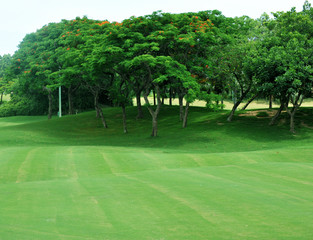 golf course