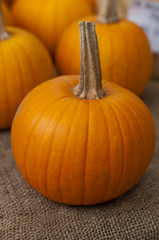 Pumpkins at a farmer market