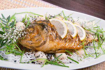 Dolphin fish dorado