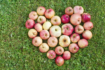 Heart from apples