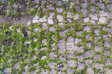 Fragment of the old forgotten road