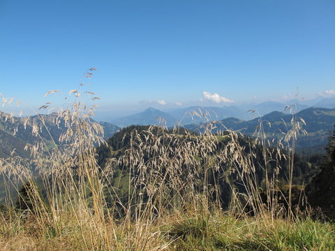 Gr&auml;ser und Aussicht auf Berge